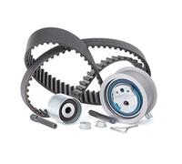 INA 530 0201 10 Timing Belt Kit, Black