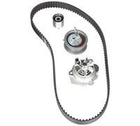 INA 530 0201 33 Water Pump and Timing Belt Kit