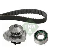 INA 530 0204 30 Timing Chain Kit With Water Pump For Fiat 500 (170)(1993->)