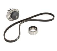 INA 530 0206 30 Water Pump & Timing Belt Set OE REPLACEMENT