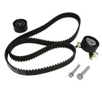 INA 530 0238 10 Timing belt set OE REPLACEMENT