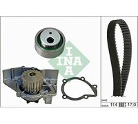 INA 530 0258 30 Water Pump & Timing Belt Set OE REPLACEMENT