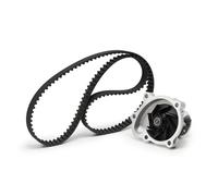 INA 530 0338 30 Water pump and timing belt kit