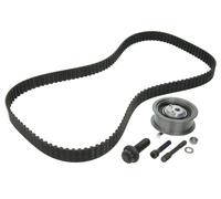 INA 530 0343 10 Timing belt set OE REPLACEMENT