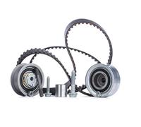 INA 530036110 Timing Belt Kit Fits Audi A3 Seat Cordoba Ibiza Leon Skoda VW Bora