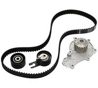 Timing Belt Kit + Water Pump 530 0375 30 INA for FORD PEUGEOT CITROËN VOLVO FIAT