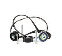 INA 530 0441 10 Timing belt kit