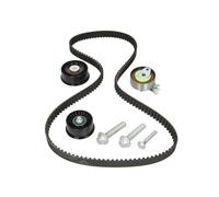 INA 530 0441 10 Timing belt set OE REPLACEMENT