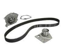 INA 530 0442 30 Water Pump & Timing Belt Set OE REPLACEMENT