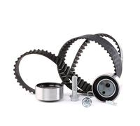 INA 530 0491 10 Timing belt kit
