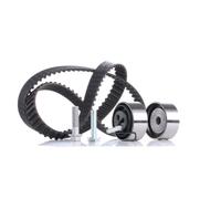 INA 530 0494 10 Timing belt kit