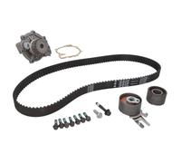 INA 530 0582 30 Water Pump & Timing Belt Kit