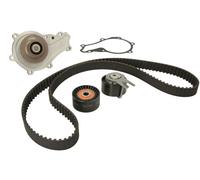 INA 530 0615 30 Water Pump & Timing Belt Set OE REPLACEMENT