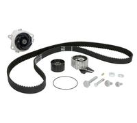 INA 530 0624 30 Water Pump & Timing Belt Set OE REPLACEMENT
