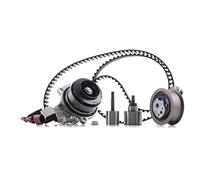 INA 530 0650 30 water pumps