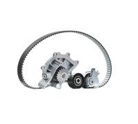 INA 530 0691 30 Water pump and timing belt kit
