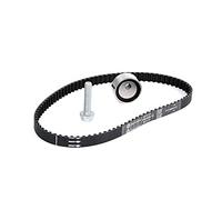INA 530018210 Timing Belt Kit