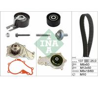 INA 530037530 Water Pump & Timing Belt Kit Fits Fiat Ford Mini Peugeot Volvo