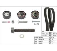 INA 530 0484 10 Timing belt kit
