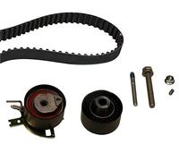 Timing belt kit 530 0489 10 INA for PEUGEOT LAND ROVER CITROËN FORD FIAT JAGUAR