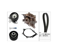 INA 530069130 Water Pump & Timing Belt Kit Fits Citroën C4 DS Ford Opel Peugeot