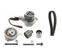 INA Water Pump & Timing Belt Set - Part No - 530069930