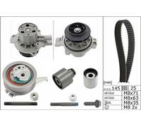 INA 530069931 Water Pump & Timing Belt Kit Fits Man TGE VW California Caravelle