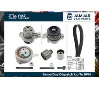 INA Timing Belt & Water Pump Kit 530 0699 31