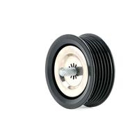 Ina Belt Tensioner 326221420