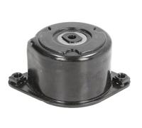 INA 534 0170 10 Tensioner Lever, V-ribbed belt OE REPLACEMENT