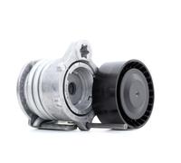 INA 534 0331 10 Tensioner Lever, v-ribbed belt