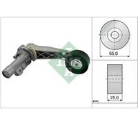 INA 534 0318 10 Tensioner Lever, v-ribbed belt