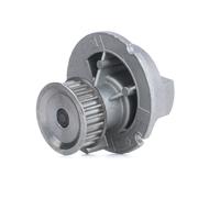 INA 538 0030 10 Water pump