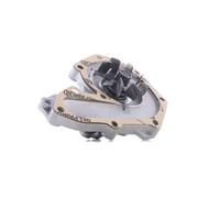 Water Pump 538005710 INA Coolant M345611 M855991 4404098 4409162 9112098 Quality