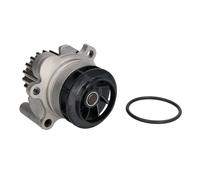 INA 538 0089 10 Water pump OE REPLACEMENT
