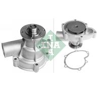 INA 538 0179 10 Water Pump for BMW