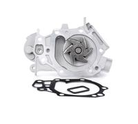 Water pump 538 0398 10 INA for RENAULT NISSAN