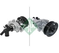 INA 538 0981 10 Water pump