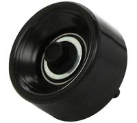 INA 532044910 Guide Pulley