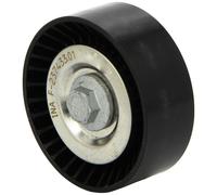 Ina Abds Deflection Pulley 532050110