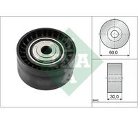 INA Belt Tensioner Pulley 532053410, Black