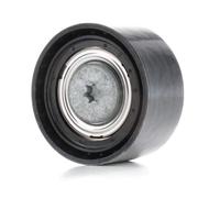 Ina Belt Tensioner 326221430