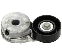 Ina Abds Tensioner 534044210