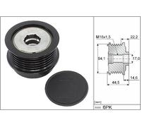 Overrunning Alternator Pulley fits FORD KUGA 2.0D 2014 on Clutch INA 1873207 New
