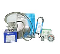 INA DISTRIBUTION KIT + WATER PUMP + BELT SERVICES FOR AUDI - A3 (8P1) - 2.0 TDI