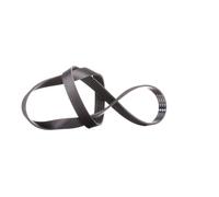INA FB 6PK1195 Serpentine belt