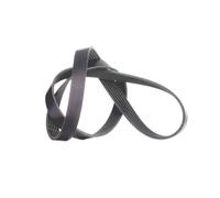 INA V-Ribbed Belt - Part No - FB6PK1245