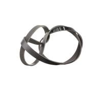 INA V-Ribbed Belt - Part No - FB6PK1555