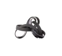INA FB 6PK1718 Serpentine belt