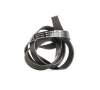 INA FB 6PK1740 Serpentine belt